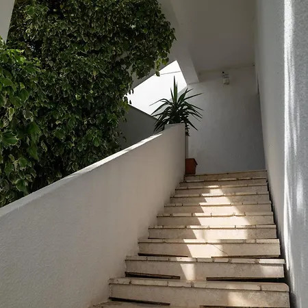 W/ Spacious Terrace Vikendica Mandre